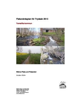 Fiskevårdsplan för Trydeån 2013