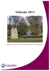 Nybroån 2013