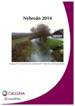 Nybroån 2014