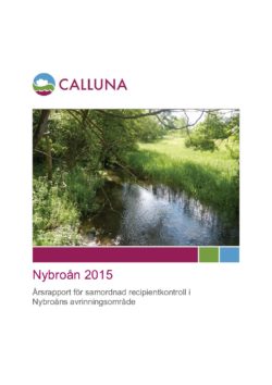 Nybroån 2015