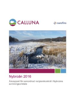 Nybroån 2016