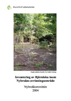 Inventering av Björnloka inom Nybroåns avrinningsområde 2004