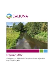 Nybroån 2017