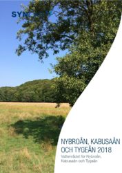 Nybroån, Kabusaån och Tygeån 2018