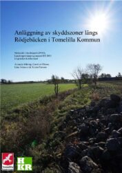 Anläggning av skyddszoner längs Rödjebäcken i Tomelilla Kommun