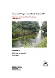 Fiskundersökningar i Nybroån och Kulleån 2019