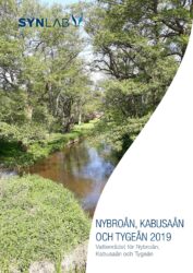 Nybroån, Kabusaån och Tygeån 2019