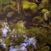 Vernissage – Ringar på vattnet Tavla av Lars Agetorp