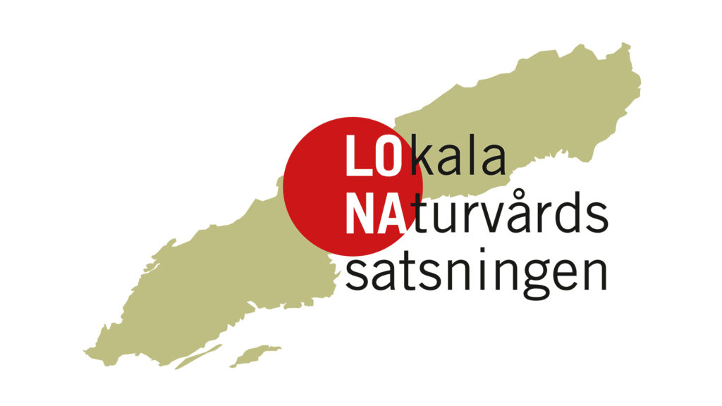 LONA logotyp LONA logotyp