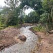 Omgrävd och restaurerad fåra av Stenbybäcken. Foto: Naturcentrum AB