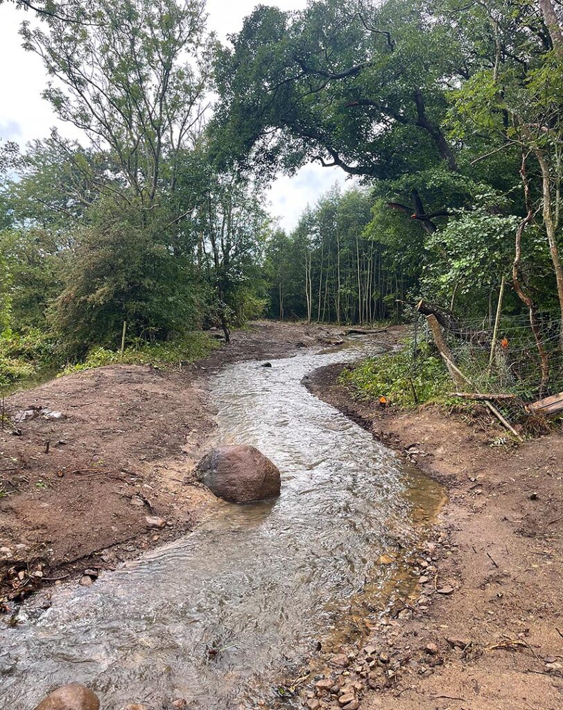 Omgrävd och restaurerad fåra av Stenbybäcken. Foto: Naturcentrum AB