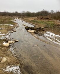 Återmeandring av Stenbybäcken